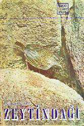 Kitap - Zeytindağı - Falih Rıfkı Atay - kitantik - kitaLog