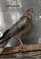 Kitap - Atmaca - İbrahim Sarıibrahimoğlu - kitantik - kitaLog