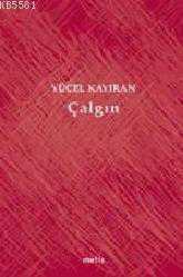 Kitap - Çalgın - Yücel Kayıran - kitantik - kitaLog
