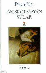 Kitap - Akışı Olmayan Sular - Pınar Kür - kitantik - kitaLog