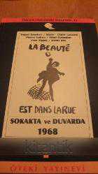 SOKAKTA  ve  DUVARDA  1968