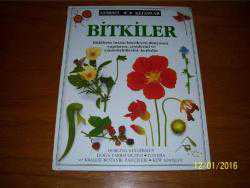 BİTKİLER- GÖRSEL KİTAPLAR- -