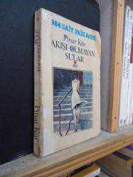 AKIŞI OLMAYAN SULAR