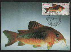 Efemera - MC.1008 DENİZ CANLILARI BALIKLAR BREZİLYA MAKSİMUM KART - kitantik - kitaLog