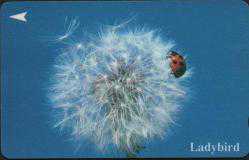 Efemera - 20108 UĞUR BÖCEĞİ SİNGAPUR TELEFON KARTI - kitantik - kitaLog