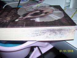 GÜLÜMSE ANILARA- CAMILLE NOE PAGAN- -