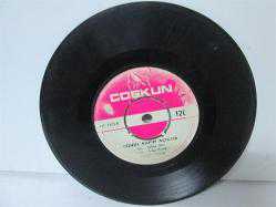 GÖNÜL KAPIM AÇIKTIR VE AŞK BAHARI
HAMDİ BİLGİN