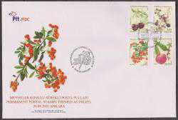 FDC.772 2011 MEYVELER KONULU SÜREKLİ FDC