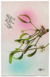 Yeni Yıl Kartpostalları: Mutlu Yıllar / Bonne Annee / Fransızca / 1924