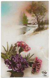 Yabancı Kartpostal: Arka Yüzü Fransızca Yazılı  /1925 - Kış ve Çicek Temalı