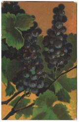 Yabancı Kartpostal: Arka Yüzü Ermenice Yazılı