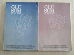 OLUŞUM - 1987 YAZ DÖNEMİ - 1987 KIŞ DÖNEMİ - -