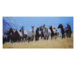 Atlar 3 Boyutlu Tablo (23x50 cm)