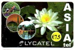 20291  ÇİÇEKLER TEMALI FRANSA TELEFON KARTI