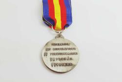 FRANSA ASKERİ GAZİ MADALYASI B115 İNDİRİMLİ FİYAT