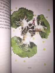 Mirzaye Biçuk [Küçük Prens] [Kürtçe]