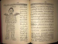 Tamtam Hindi - TIPKIBASIM- HAVAS  [Havas; Havass]