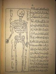 Tamtam Hindi - TIPKIBASIM- HAVAS  [Havas; Havass]