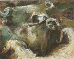 YAPI VE KREDİ BANKASI A.Ş. TEBRİK KARTI VE ZARFI BİRLİKTE - ZEKİYE AYDOĞAN ADINA BASILMIŞTIR