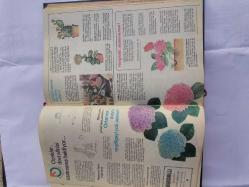 BİNDALLI DERGİSİ 1 - 36 SAYILAR