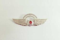 PİLOT POLİS ÇİFT KÖPRÜ BRÖVE - ROZET - MADALYA C4409