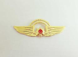 PİLOT POLİS ÇİFT KÖPRÜ BRÖVE - ROZET - MADALYA C4408