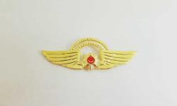 PİLOT POLİS ÇİFT KÖPRÜ BRÖVE - ROZET - MADALYA C4408