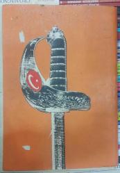 İstiklal Harbi Gazetesi ( 15 Mayıs 1919 - 14 Mart 1920 )