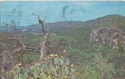 KARTPOSTAL - TEXAS COUNTRY - ARKASI YAZILI ( İNGİLİZCE ) - USA PULLU - MÜHÜRLÜ - YENİ YIL KUTLAMA MESAJLI