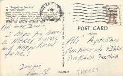 KARTPOSTAL - TEXAS COUNTRY - ARKASI YAZILI ( İNGİLİZCE ) - USA PULLU - MÜHÜRLÜ - YENİ YIL KUTLAMA MESAJLI