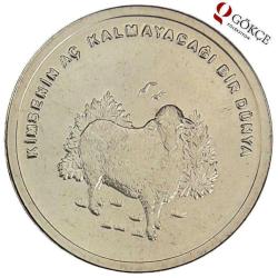 Efemera - 2002 F.A.O Koyun TCH382 - kitantik - kitaLog