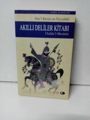 AKILLI DELİLER KİTABI