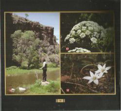 KIZILCAHAMAM DOĞA YÜRÜYÜŞ YOLLARI (NATURE WALKİNG ROADS) 19 - AŞAĞIHÖYÜK GÖLETİ(KURUMCU KÖYÜ) - ALİCİN MANASTIRI