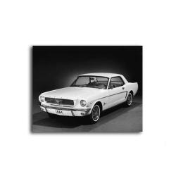 Antika - 1964 Beyaz Ford Mustang Tablo - 105819 - 60x80 Cm - kitantik - kitaLog