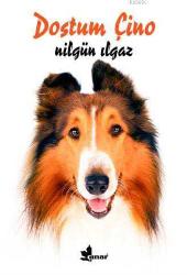 Dostum Çino ve Kahraman Çino  2 kitap