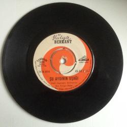 Berkant - Dere Geliyor Dere / Şu Aydının Uşağı