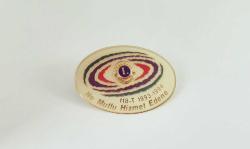 LİONS NE MUTLU HİZMET EDENE ROZETİ - MADALYA B3019 İNDİRİMLİ FİYAT