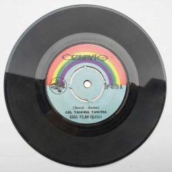 Gel yanıma yanıma - Halimem / Kara Yılan Oğulları - 45'lik Plak