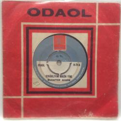 Efemera - Muzaffer Akgün / Efkarlıyım Bugün Yine - Sen Benim Kaderimsin / 45'lik plak - kitantik - kitaLog