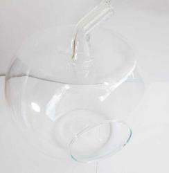 Teraryum Cam Fanus Elma 25 cm X 76 cm 6 li Paket 1 koli  ( Çocuk-Yetişkin Teraryum Atölyesi Etkinlik Malzemesi)