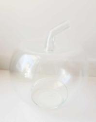 Teraryum Cam Fanus Elma 25 cm X 76 cm 6 li Paket 1 koli  ( Çocuk-Yetişkin Teraryum Atölyesi Etkinlik Malzemesi)