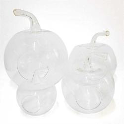 Teraryum Cam Fanus Elma 25 cm X 76 cm 6 li Paket 1 koli  ( Çocuk-Yetişkin Teraryum Atölyesi Etkinlik Malzemesi)