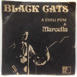 Yalangoch opaga qarab jinsiy aloqa birodar