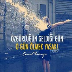 Bardak Altlığı - Özgürlüğün Geldiği Gün O Gün Ölmek Yasak