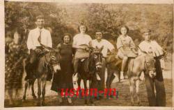 ADADA EŞEK SEFASI (GÜZEL EŞEKLER)...