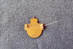 İSVEÇ ORDUSU ASKERİ ROZET - BRÖVE - MADALYA B3582 İNDİRİMLİ FİYAT