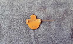 İSVEÇ ORDUSU ASKERİ ROZET - BRÖVE - MADALYA B3584 İNDİRİMLİ FİYAT