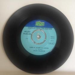Julio iglesias / Un Canto A Galicia - Como El Almo Al Camino / Turkey 1972 / 45rpm / *Pop*