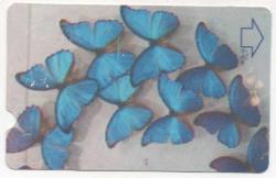 21000 P.34 KELEBEKLER LAMİNEKS ÖRNEK KART RRRR