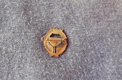 İSVEÇ ASKERİ KRALİYET MUHAFIZLARI ROZETİ - BRÖVE - MADALYA B3660 İNDİRİMLİ FİYAT